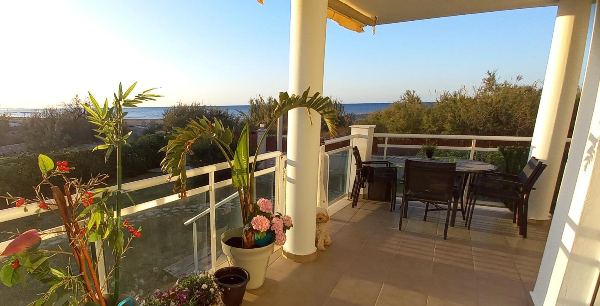 Beach View - Primera Linea Lujo Dénia Eksteriør billede