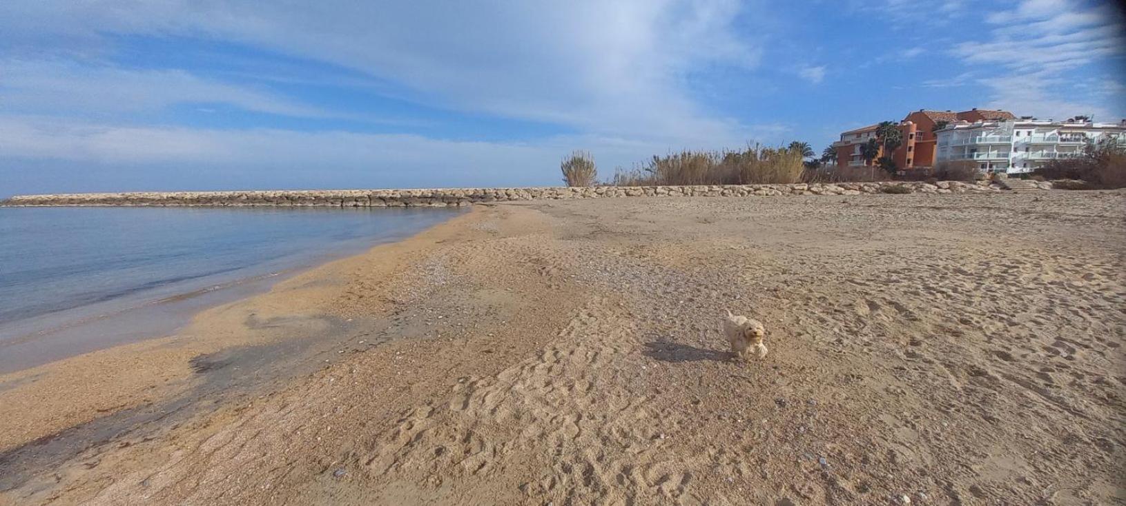 Beach View - Primera Linea Lujo Dénia Eksteriør billede