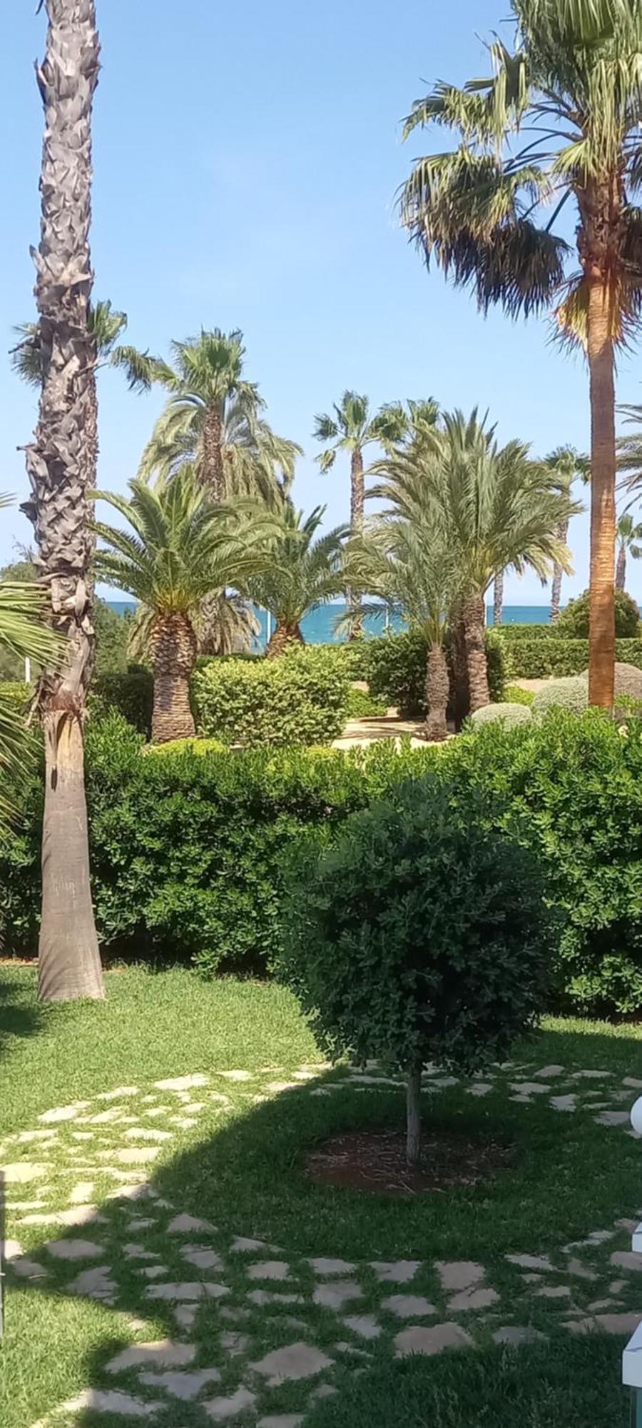 Beach View - Primera Linea Lujo Dénia Eksteriør billede
